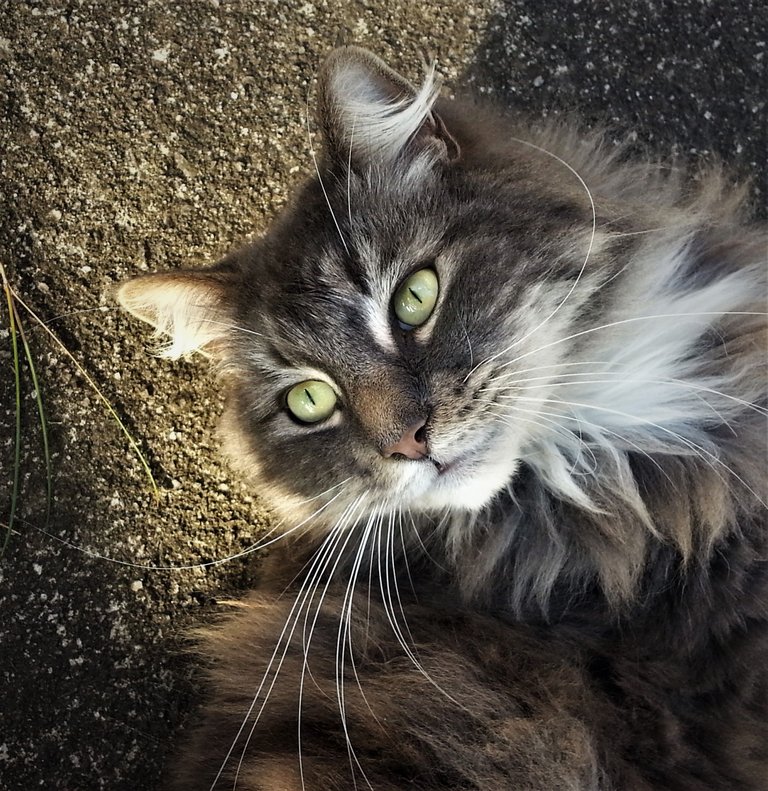 20180224_164833 (2).jpg