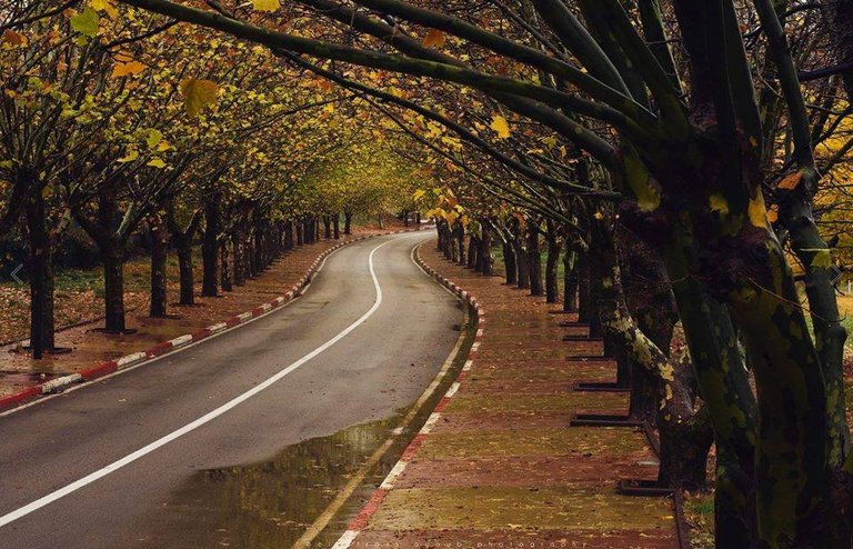 Ifrane city .. MOROCCO.jpg