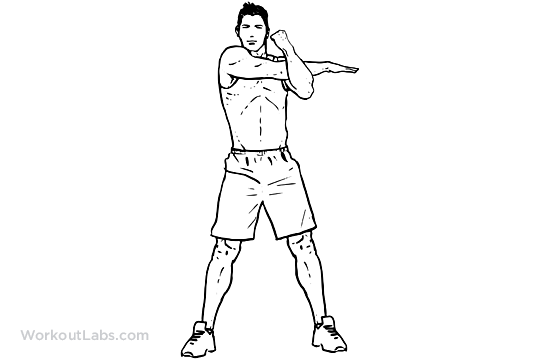 Shoulder_Stretch_M_WorkoutLabs.png