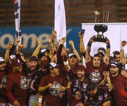 tomateros.JPG