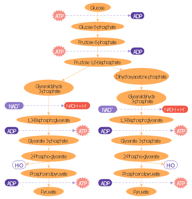 pict--glycolysis-pathway-map-glycolysis-overview.png--diagram-flowchart-example.png