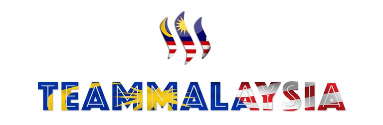 teammalaysia.jpg