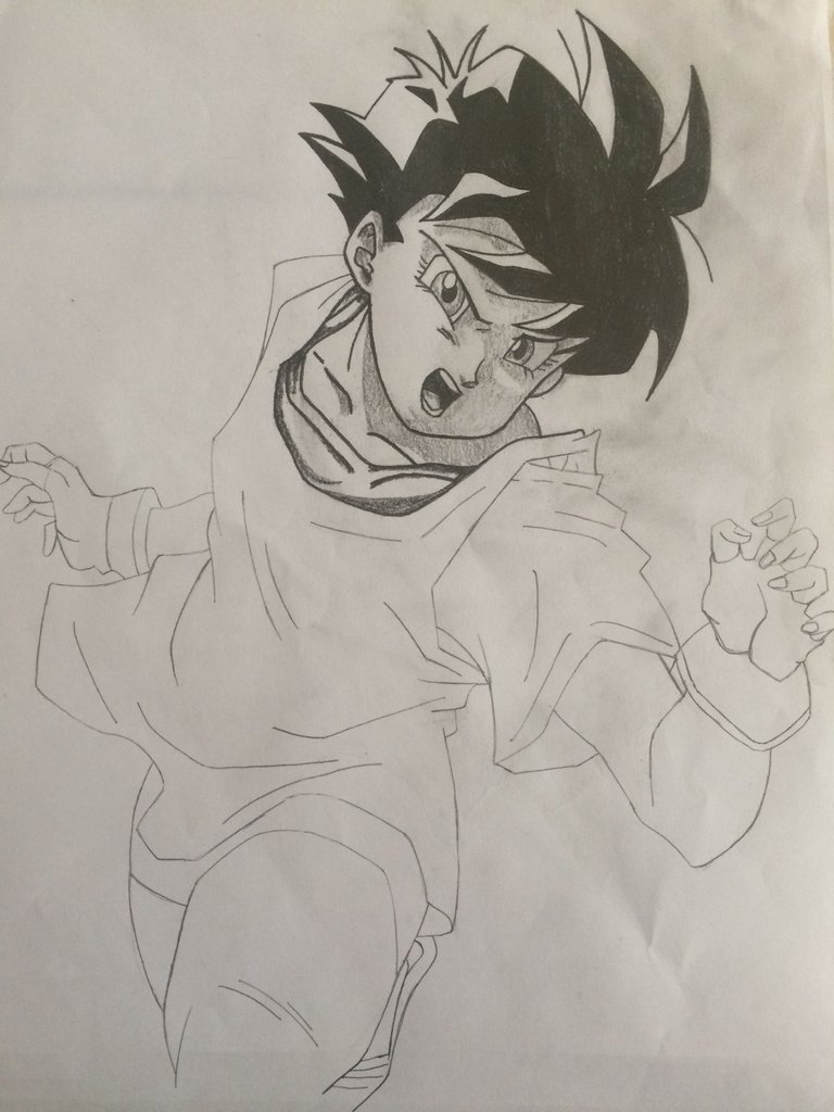 videl 10.JPG