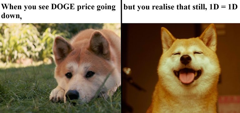 doge meme.jpg