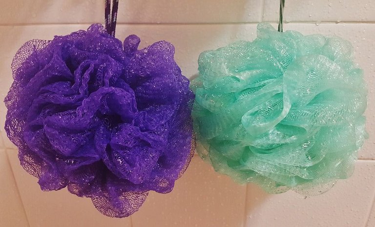 shower-sponge-1216556_960_720.jpg