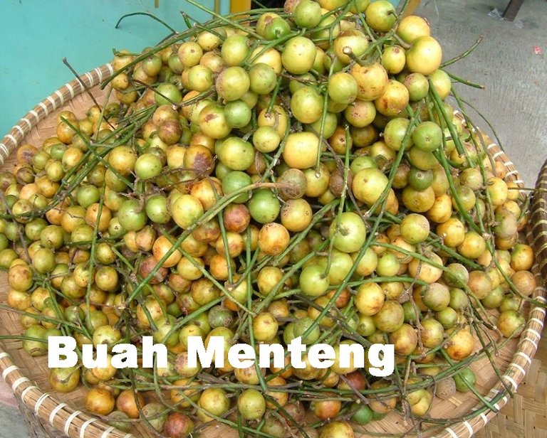 Buah-Menteng.jpg