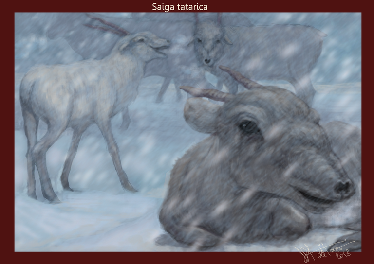 saiga.png