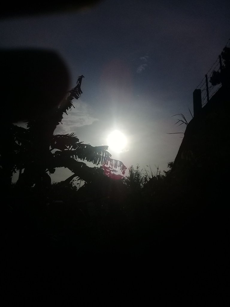 20180312_173716.jpg