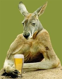 kangaroo-beer.jpg