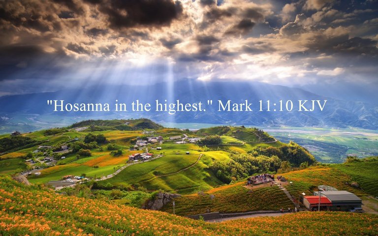 Hosanna in the highest. Mark 1110 KJVwallup-215233.jpg