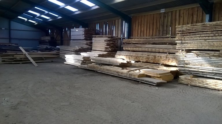 timber yard.jpg