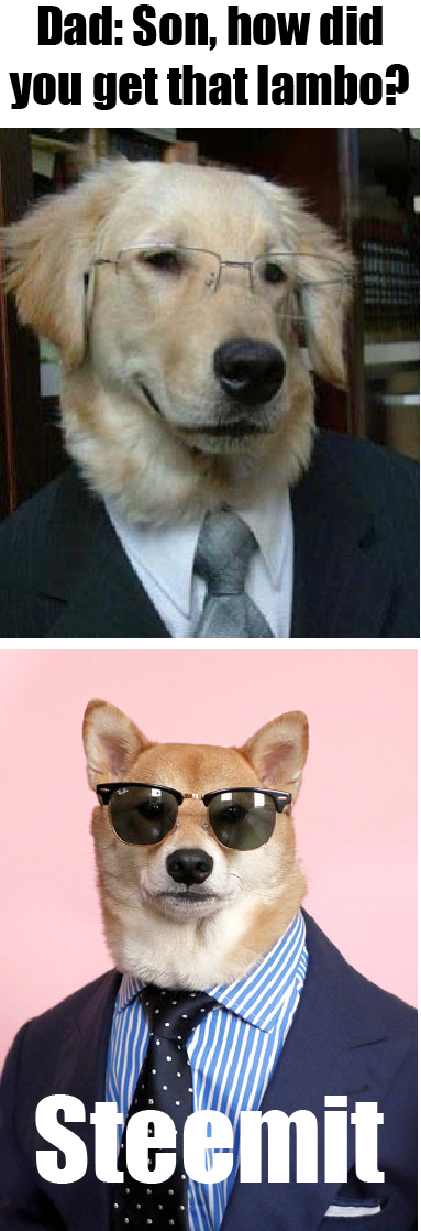 DoggoLambo.png