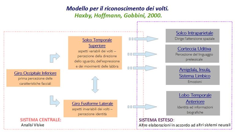 riconoscimento volti.jpg