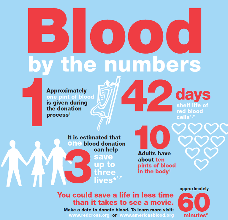 Blood-infographic-Buster-Creative-1.png