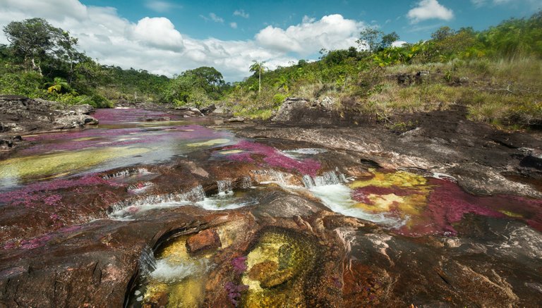 cano-cristales-sierra-de-la-macarena-23.jpg