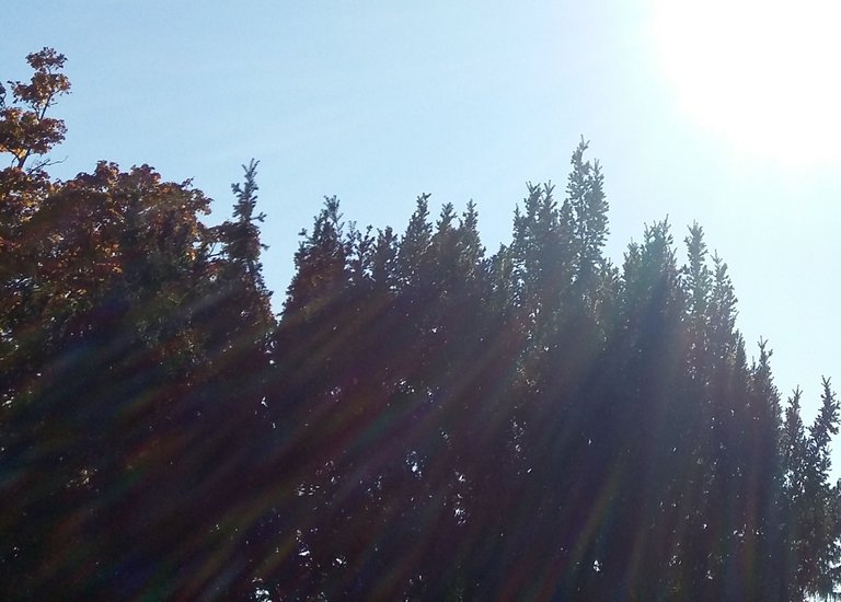 20171015_143136aa.jpg