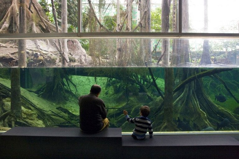 cosmocaixa-barcelona-interior-Wojtek-Gurak.jpg