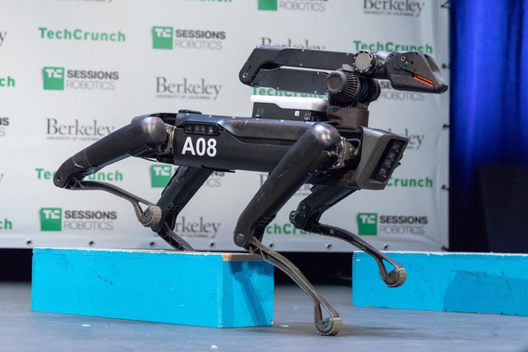 robodog.jpg