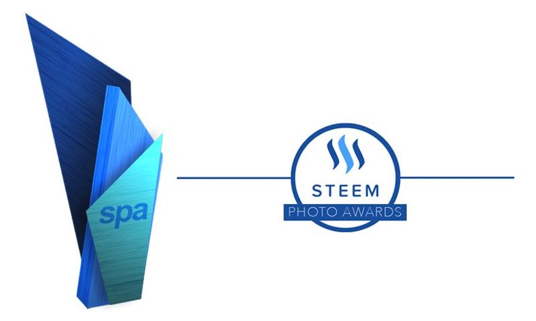 Steem Photo Awards Trophy.jpg