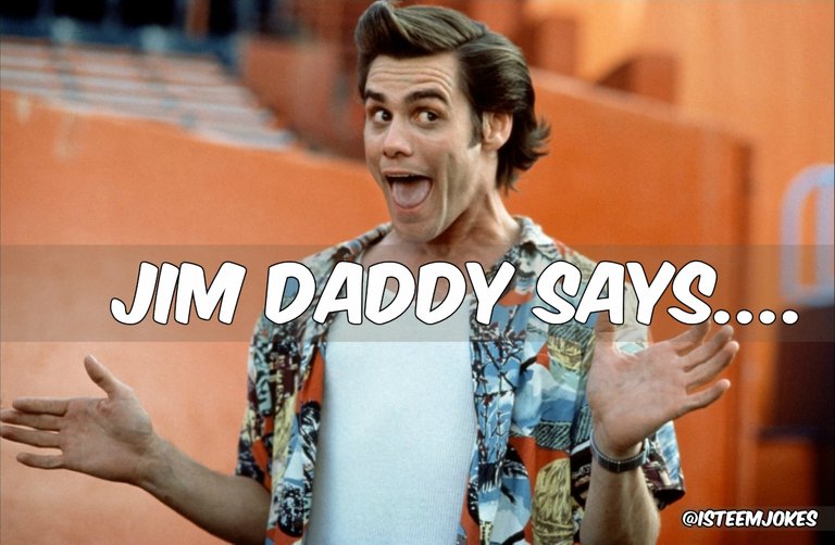 carrey-ace-ventura-jimdaddy.jpg