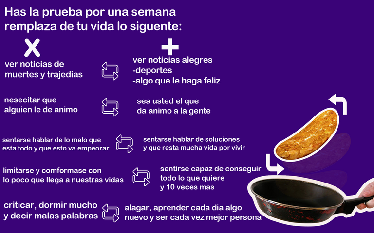 tortilla2.png