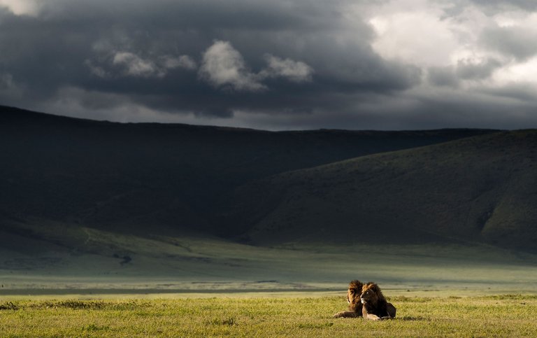 BrothersNgoronGoro.jpg