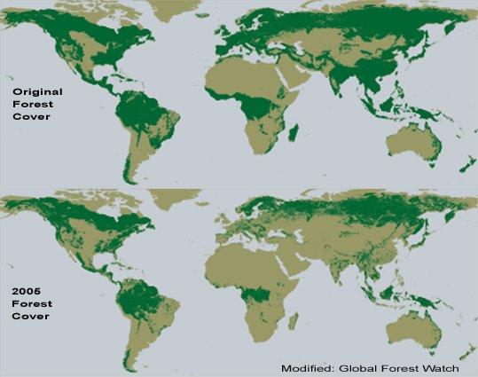 ForestCover.jpg