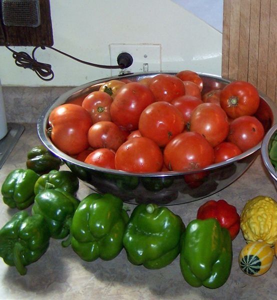 Tomatoes, peppers, lima beans crop1 Sept. 2016.jpg