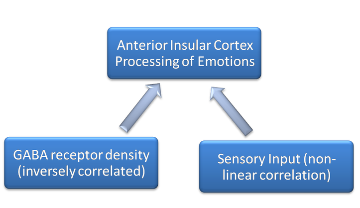 anteriorinsularcortexmodel2008.png