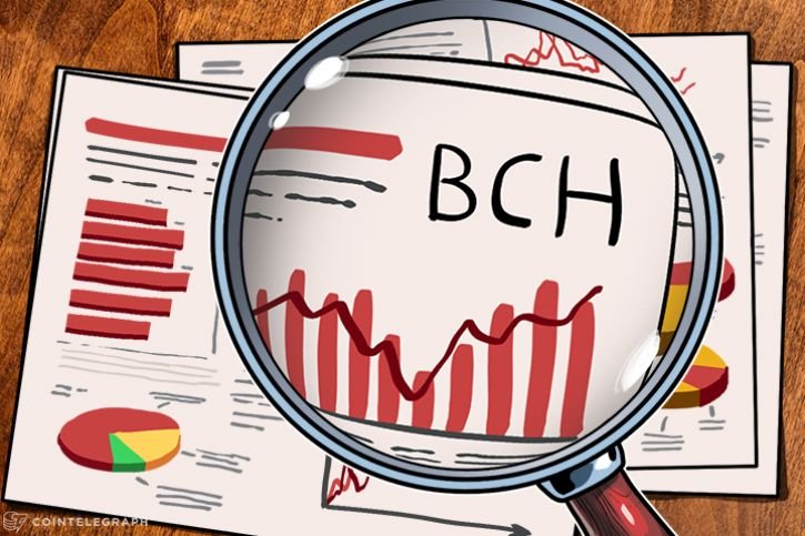 bch-pic.jpg