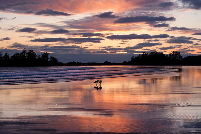 chestermanbeachsouthtofino6293.jpg