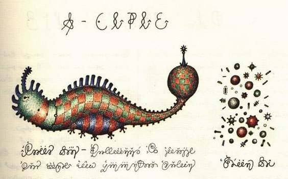 codex_seraphinianus4.jpeg