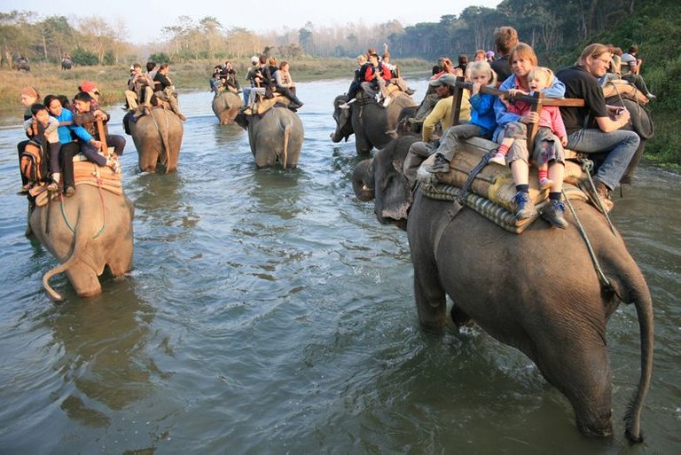 Elephant-Back-Safari-1.jpg