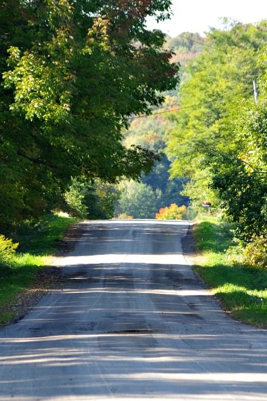 country road sunscape.jpg