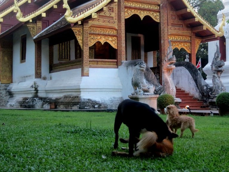 Wat Phra Sing Chiang Mai Thailand 10.jpg