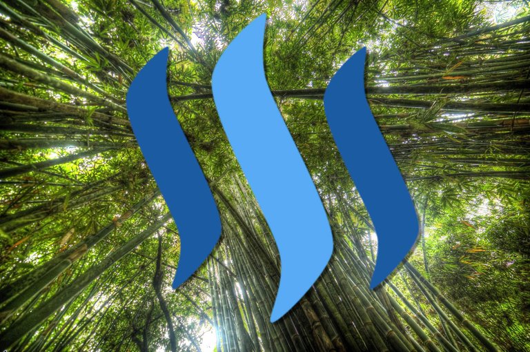 bamboo steem.jpg