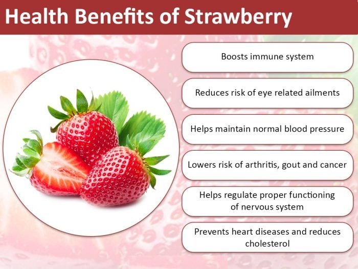 strawberryinfo02.jpg