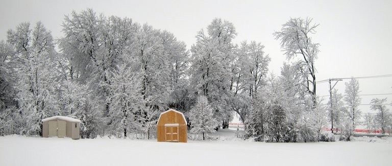 winter-shed.jpg