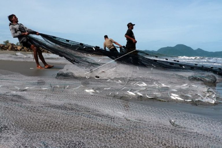 4. Pukat dengan Hasil Tangkapannya sudah di bibir pantai.jpg