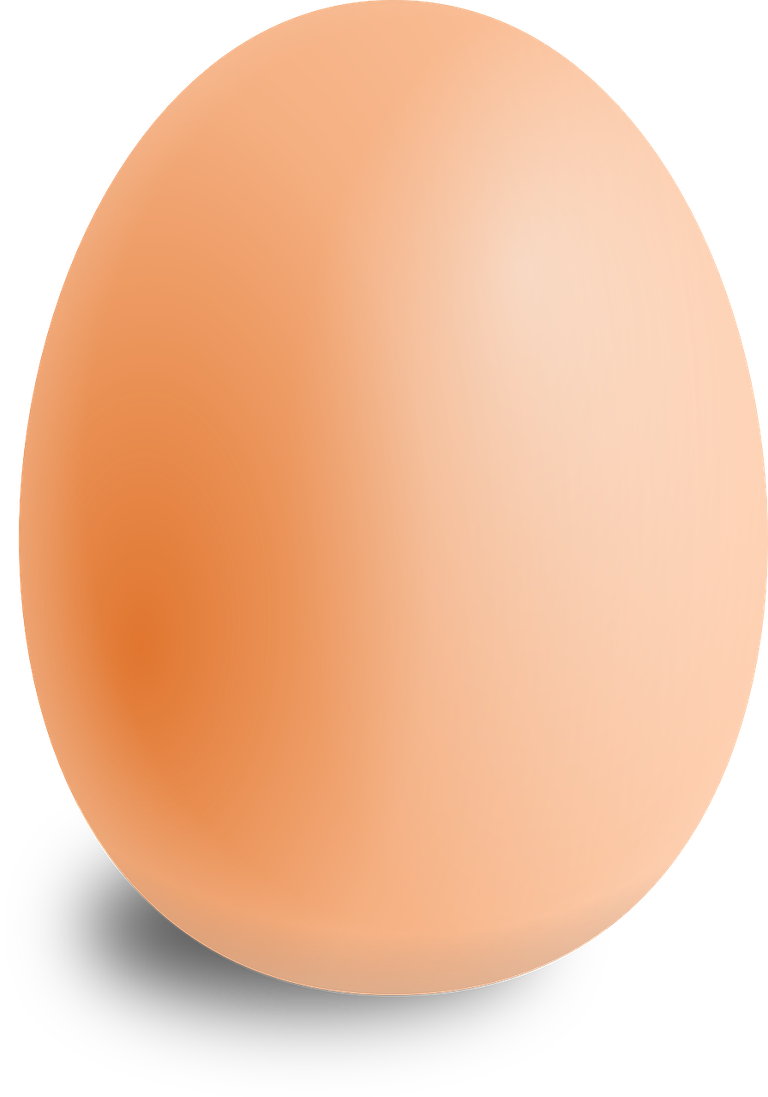 egg-157224_1280.png