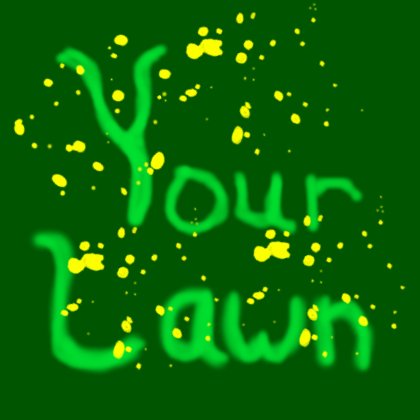 Your lawn.jpeg