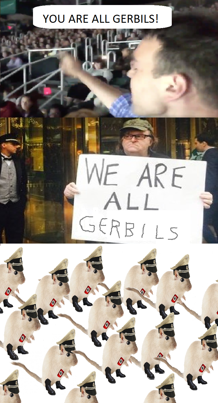 gerbils.png