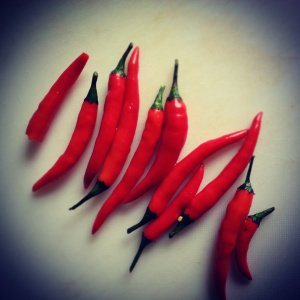 chillies.jpg