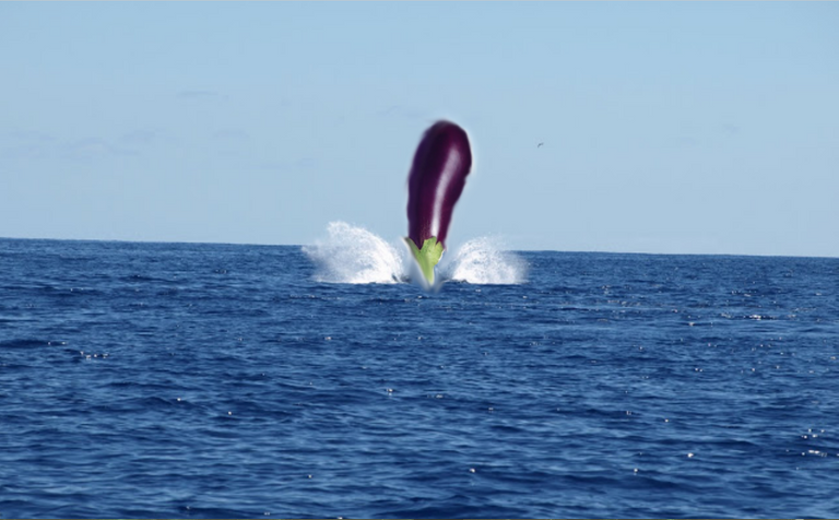 eggplant.png