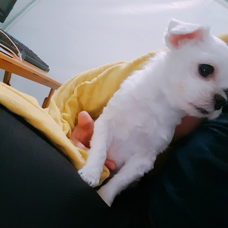 KakaoTalk_20180116_040721491.jpg