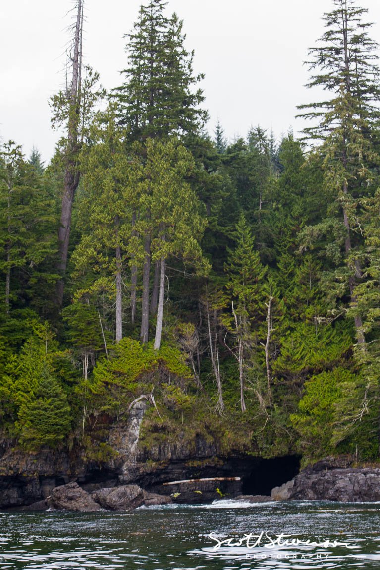 Port Renfrew-1.jpg