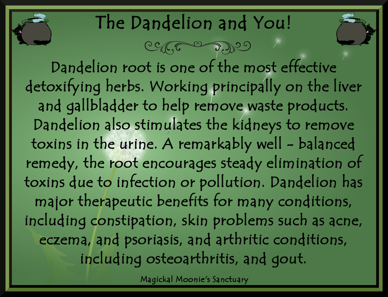 dandelion root.png