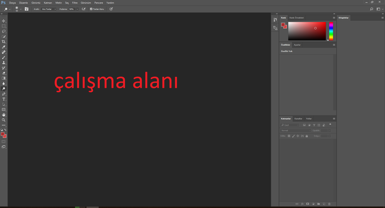 photo foto çalışma alanı.png