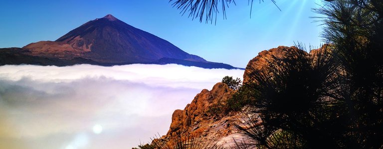 volcan-teide 4.jpg