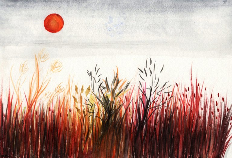 red grasses.jpg